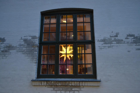 Copenhagen Christmas Market Tour