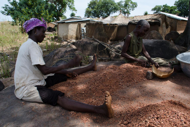 Accra : circuit de 11 jours dans les territoires du nord, la savane et les tribusAccra : circuit de 11 jours dans les territoires du nord, la savane et chez les tribus