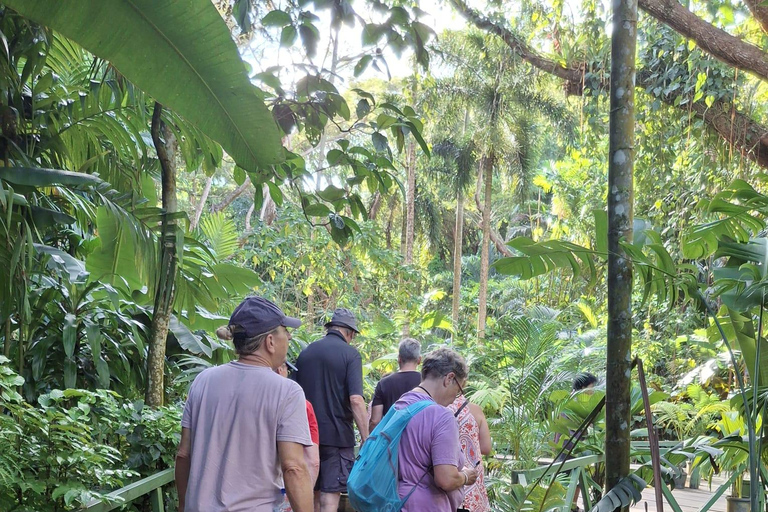 Fiji: Serenity Island Resort Island Escape Half Day Tour PM : Serenity Island Resort Island Escape Half Day Tour