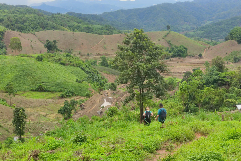Chiang Rai: Jungle Adventure-Group Trekking & Bamboo Cooking