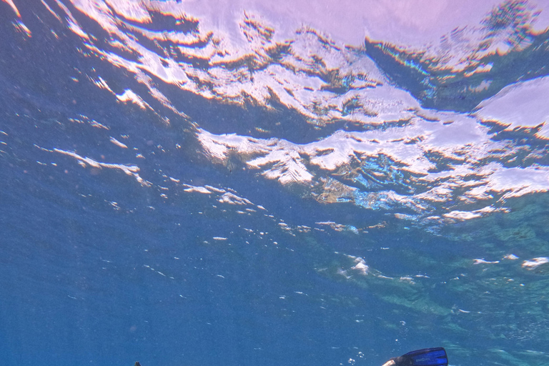 Wonderful Komodo National Park 2-Day Boat Tour