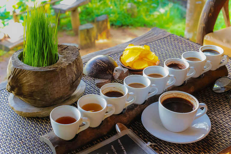 Ubud Half-Day Tour: Rice Terrace, Waterfall & Coffee Ubud Area Pickup – Without Entry Tickets