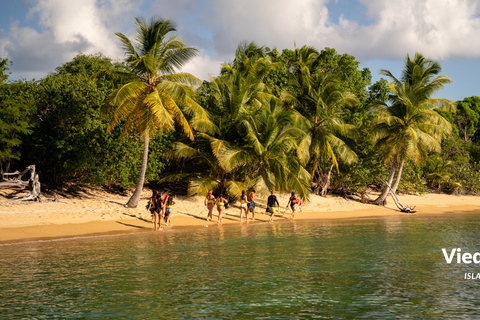 Fajardo: Vieques Island Snorkeling with Turtles Boat Tour