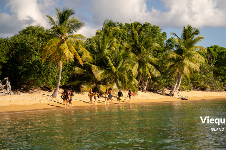 Fajardo: Vieques Island Snorkeling with Turtles Boat Tour
