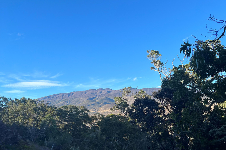 Mauna Kea: wędrówka o zachodzie słońca i wschód gwiazd z rdzennymi mieszkańcami HawajówMauna Kea: Wycieczka o zachodzie słońca i wschód gwiazd z rdzennymi mieszkańcami H