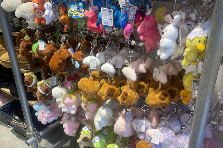 Tokyo: Harajuku "Kawaii" Pop Culture Shopping tour