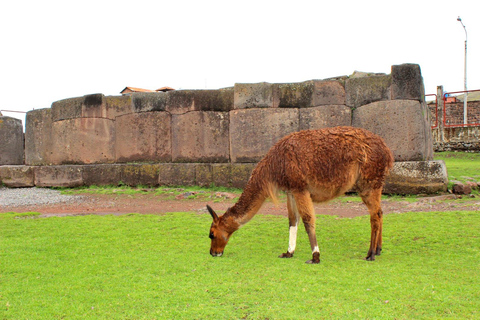 From Puno: Mystical Aymara Route to Aramu Muru with Photos and Videos Aymara Route Tour