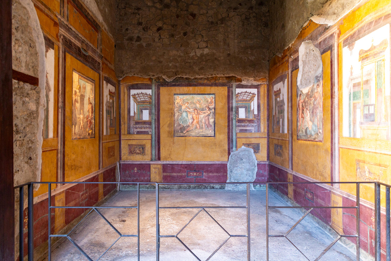 Pompeii: New Discoveries & Ancient Wonders Tour with Ticket Semi-Private Group max 8 people
