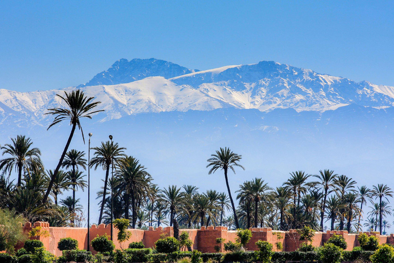 Ab Agadir: Geführter Ausflug nach Marrakesch mit lizenziertem Reiseleiter