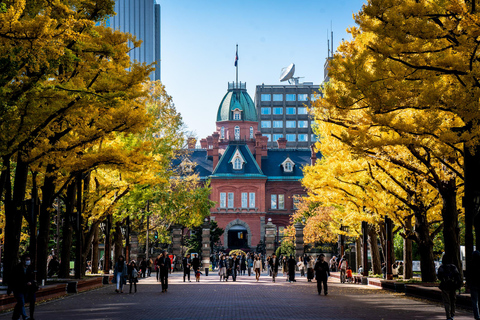 Hoogtepunten van Sapporo: Kunst, natuur en architectuur tour