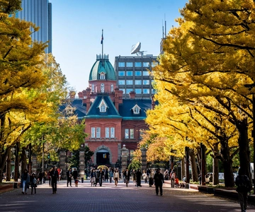 札幌ハイライト：芸術、自然、建築ツアー