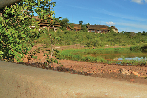 Victoria Falls: Siduli Hide Wildlife Viewing Experience