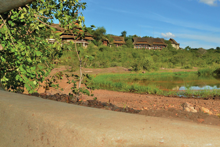 Victoria Falls: Siduli Hide Wildlife Viewing Experience