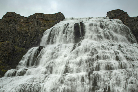Ísafjörður: Dynjandi Waterfall & Flateyri Village Tour