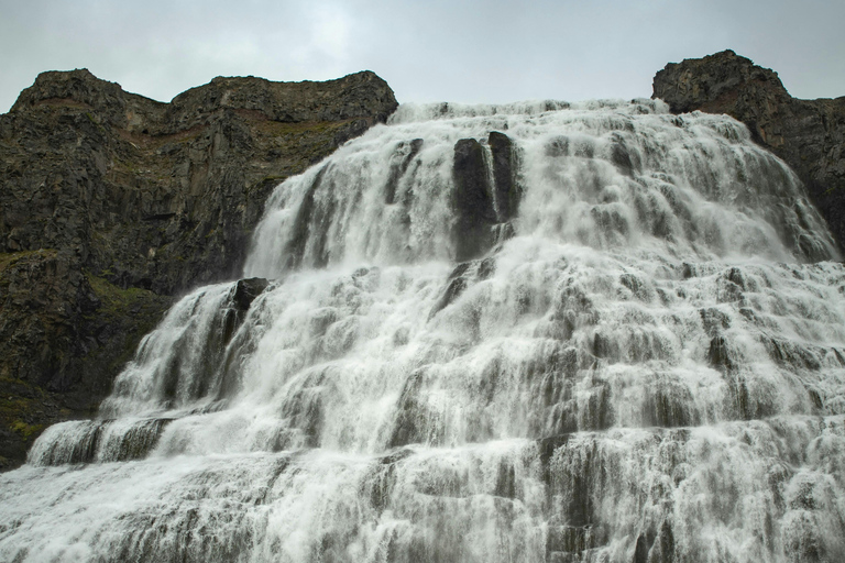 Ísafjörður: Dynjandi Waterfall & Flateyri Village Tour