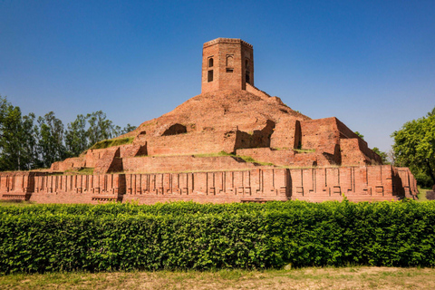 Varanasi: Sarnath Guided Tour with Food Tasting