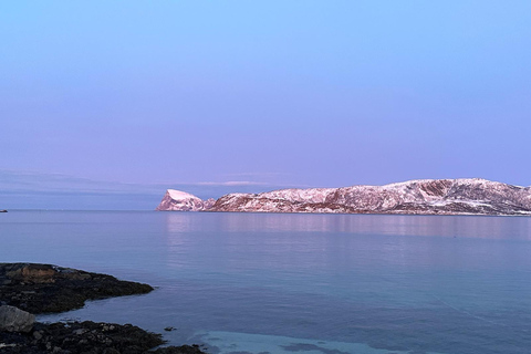 Tromsø: Dagtocht langs de fjorden, bergen en hoogtepunten van de stad