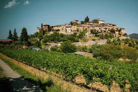 From Florence: Chianti Self-Guided Vespa Tour with LunchSolo Vespa Driver