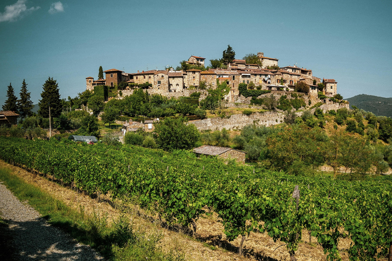 From Florence: Chianti Self-Guided Vespa Tour with LunchSolo Vespa Driver