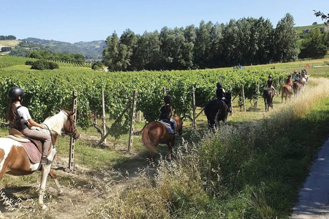Monferrato: Horseback Riding in Nature with Lunch at a Farmhouse