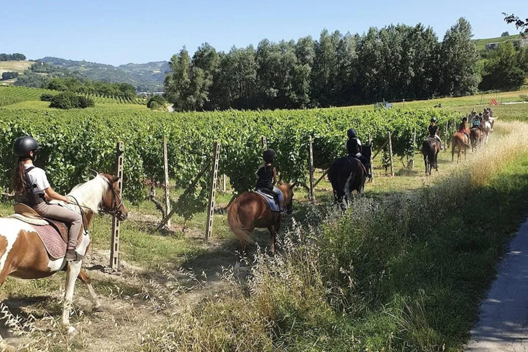 Monferrato: Horseback Riding in Nature with Lunch at a Farmhouse