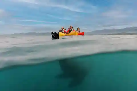 Kaikoura: excursion en kayak à pédales pour observer les phoques