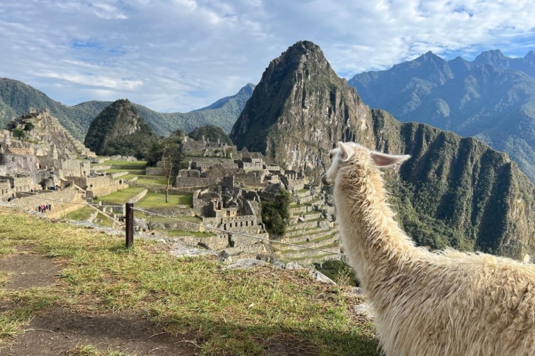 Von Cusco aus: Private Machu Picchu Tour & Panoramazugfahrt