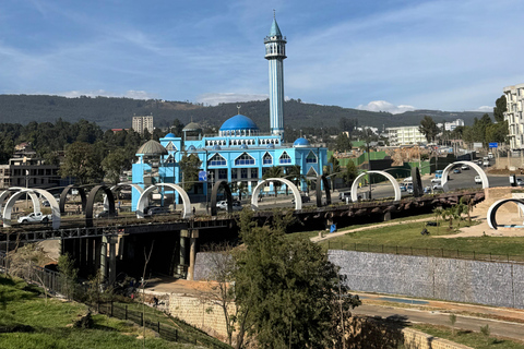 Addis Ababa: 14-Day Adventure and Nature Tour(customizable)