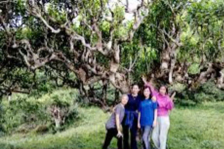 Depuis Hanoi : 2 jours pour découvrir les chutes d&#039;eau de Ha Thanh et le village de Khuoi My ...