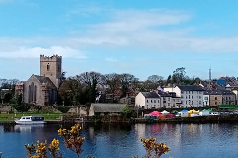 Killaloe: River Shannon Guided eBike Tour - Image 2