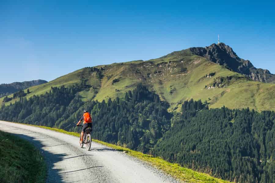 Aspen: 4-tägige E-Bike-Tour nach Palisade. Foto: GetYourGuide