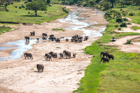 5-dagars gruppsafari Tarangire, Serengeti, Ngorongoro, Manyara