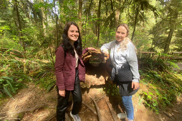 Seattle: Rainforest and Olympic National Park Highlights Olympic National Park: Rainforest, Beach, and highlights