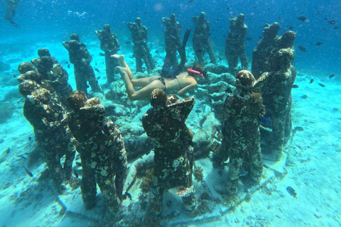 Gili Trawangan : Excursão de Snorkeling em Grupo/Público 3 Gili Island