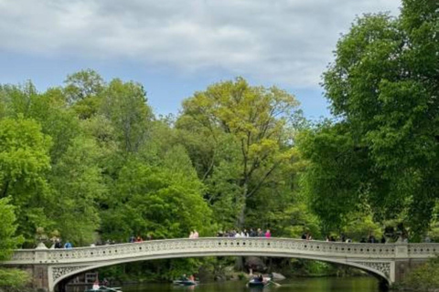 NYC Private Central Park Horse Carriage Ride with Guide NYC VIP Christmas Light Horse Carriage Ride