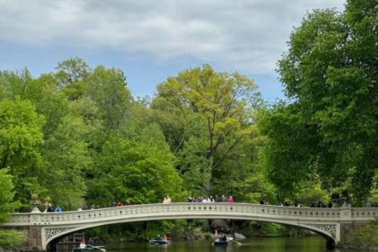 NYC Private Central Park Horse Carriage Ride with Guide NYC VIP Christmas Light Horse Carriage Ride