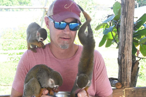 Amber Cove & Taino Bay: Private VIP Monkeys & Beach Escape
