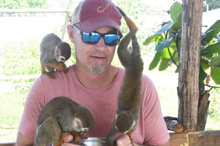 Amber Cove & Taino Bay: Private VIP Monkeys & Beach Escape