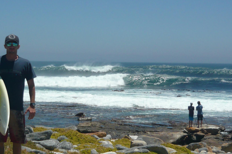 Ubatuba: Surfing Experience with Professional Instructor