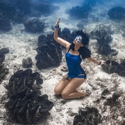 Swim with Giant Clams & DapDap Coral Garden in Panglao Swim with Giant Clams & DapDap Coral Garden in Panglao