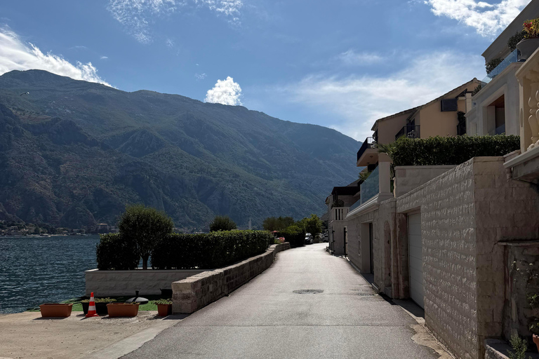 Explore Kotor: Old Town Walk & Bay Coast Bike Tour
