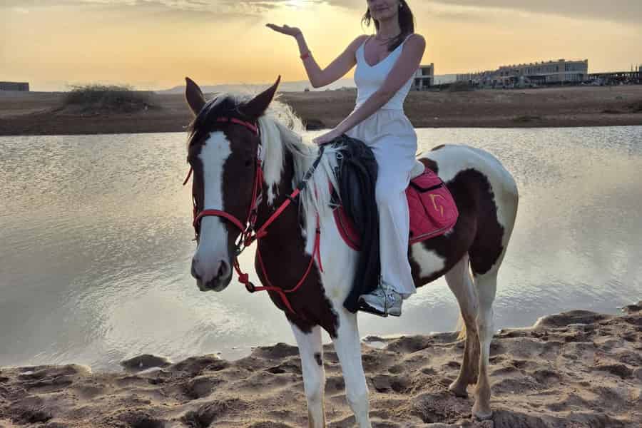 Hurghada: Reiten & Schwimmen mit Pferden im Roten Meer. Foto: GetYourGuide Hurghada: Reiten & Schwimmen mit Pferden im Roten Meer. Foto: GetYourGuide