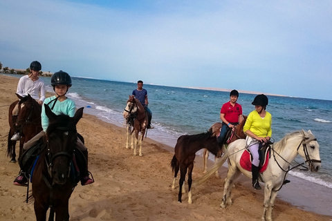 From Hurghada: Red Sea Sunrise and Desert Horseback Riding Private Group: Special Package - 1H Horse Ride