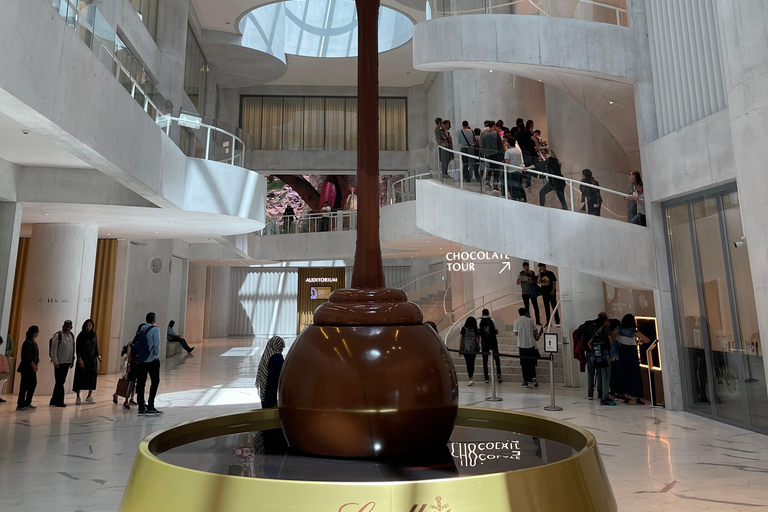 Swiss Highlights: Guided Zürich, Lucerne, Basel & Bern tour