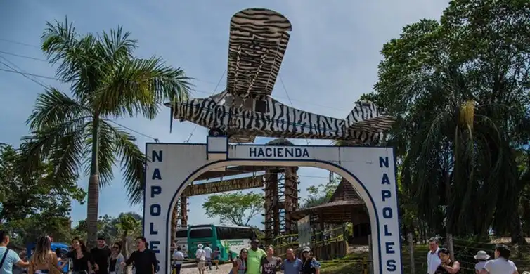 La Hacienda Napoles Un Safari En Tierras Colombianas www.getyourguide.es