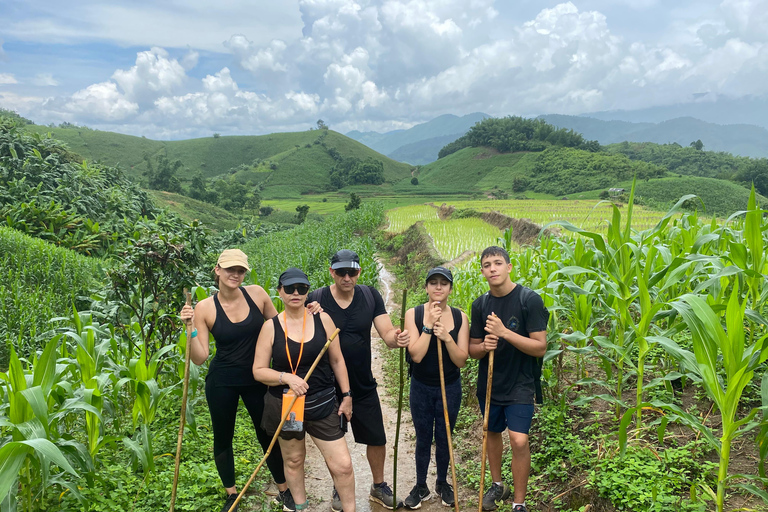 1 Day trekking : Chiang Rai popular activity,Fun in Nature.
