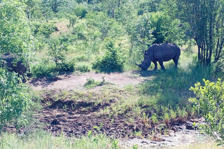 Mosi Oa Tunya Game drive