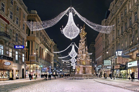 Vienne : Visite nocturne privée avec un guide local