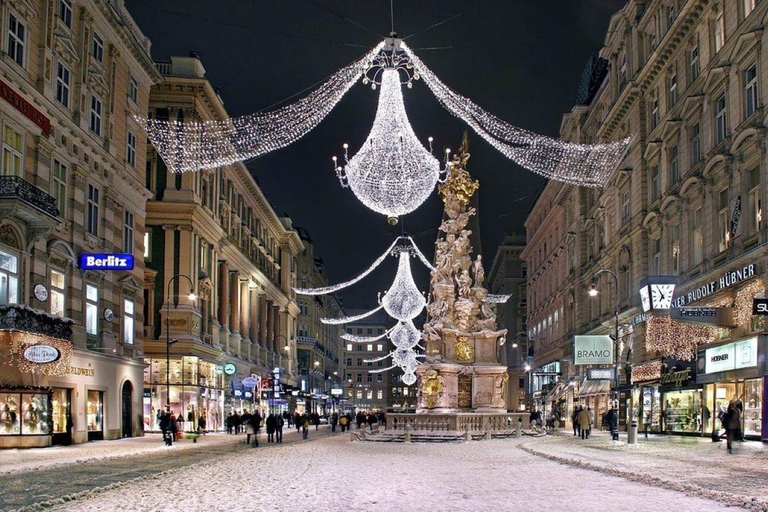 Vienne : Visite nocturne privée avec un guide local