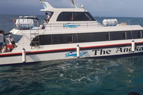 Bali: Nusa Penida Fast Boat Transfer Bali: Sanur to Nusa Penida Fastboat Transfer